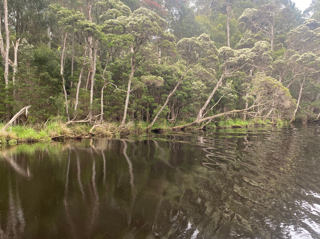 Leven River Cruises-Ulverstone必去景点