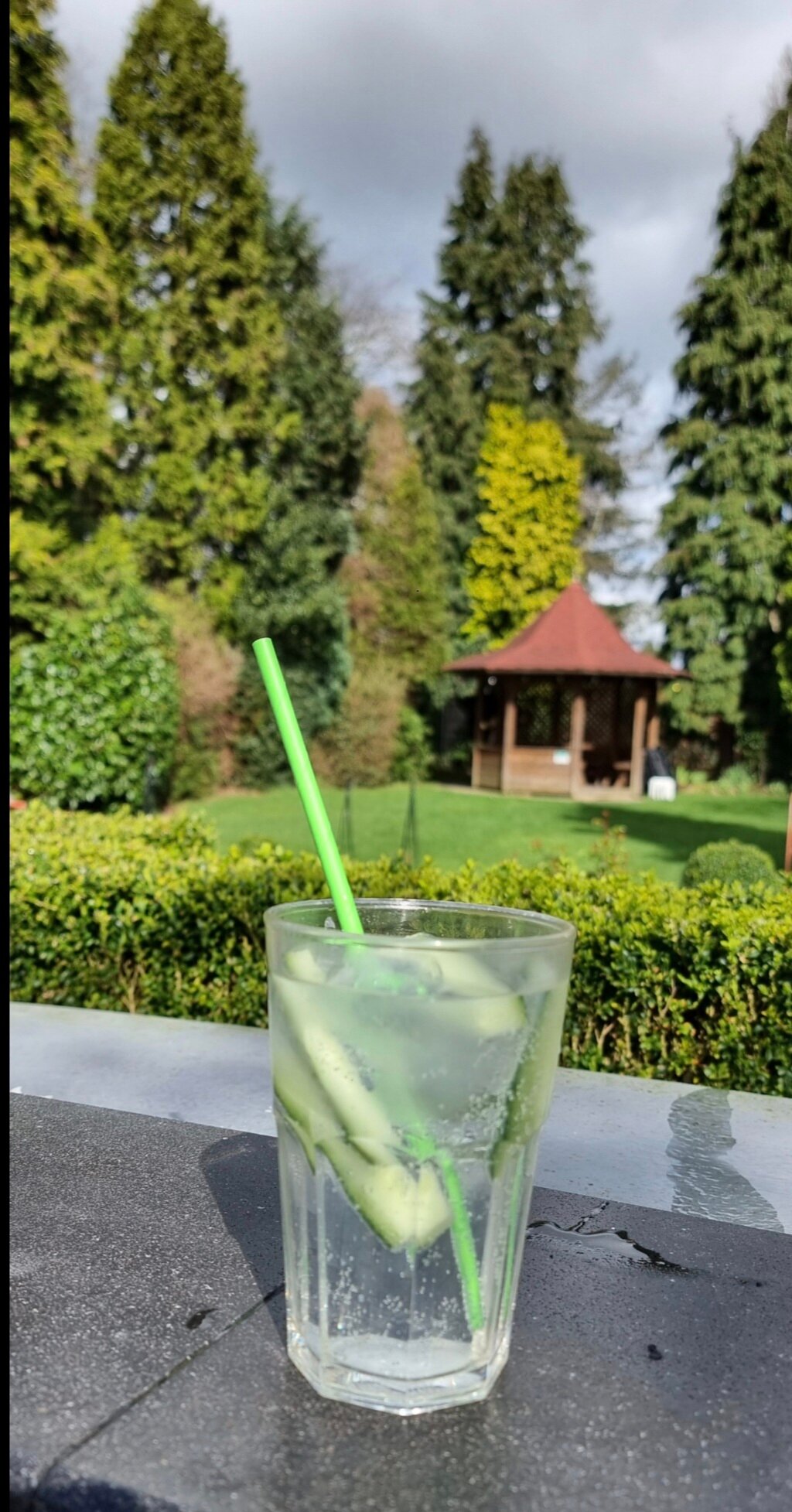 Clover Spa & Hotel-官方