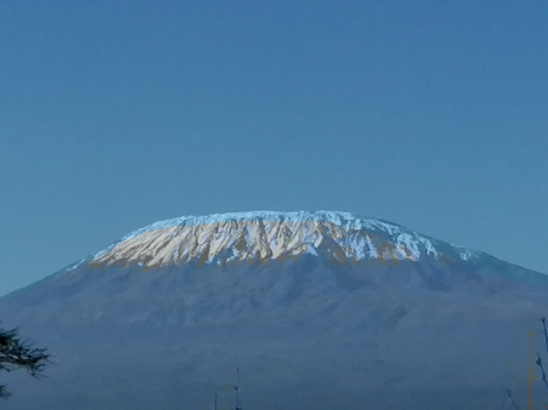 D.M. Tours & Safaris-查佛必去景点