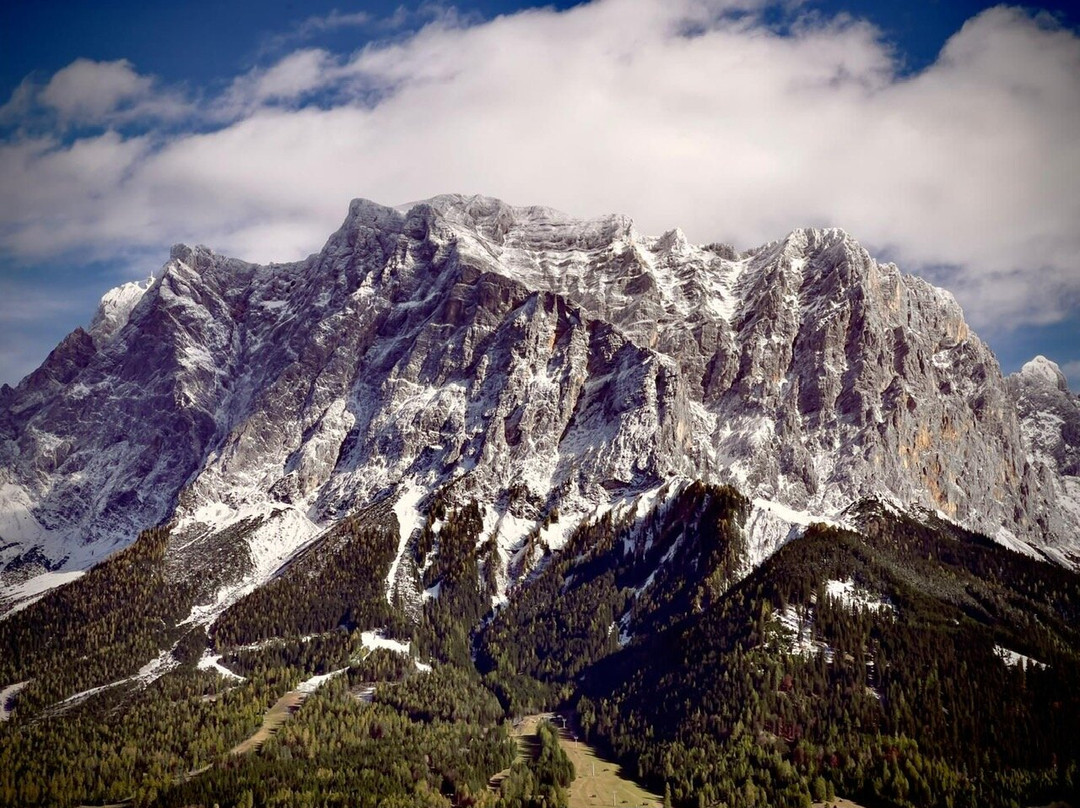 Hochfeldernalm-埃尔森林市必去景点