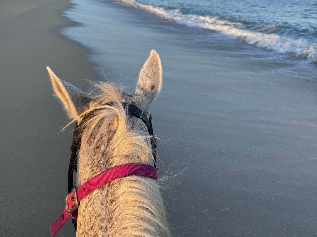Rancho Animas-Animas Bajas必去景点