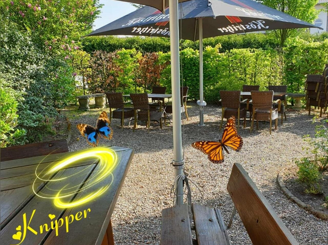 Werlte酒店住宿-Hotel Knipper