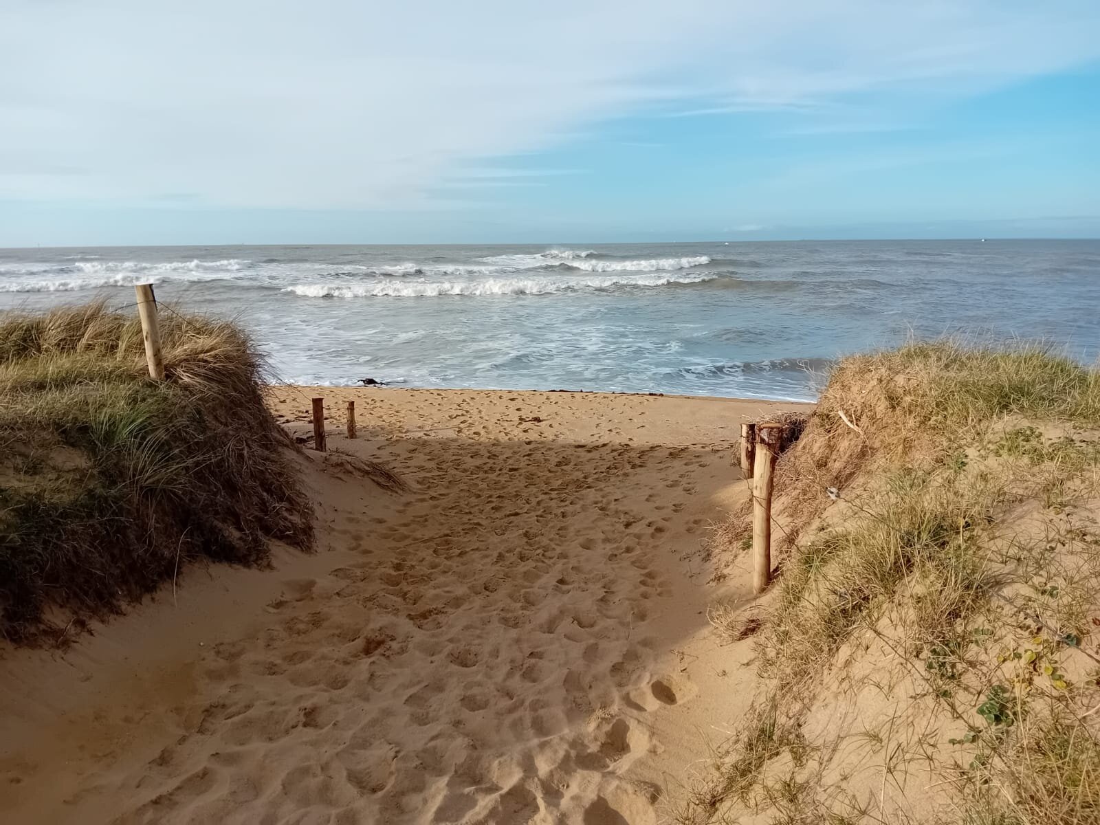 Les Quatre Vents-官方