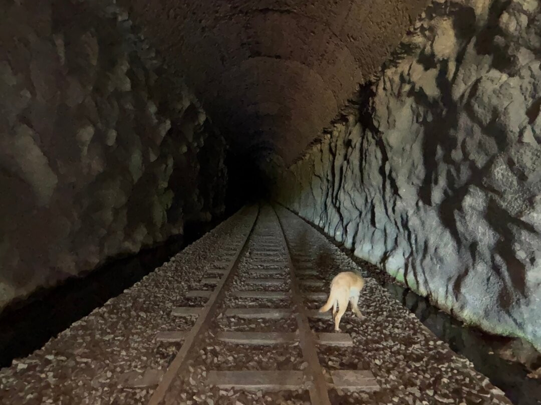 Túnel das Janelas-Vespasiano Correa必去景点