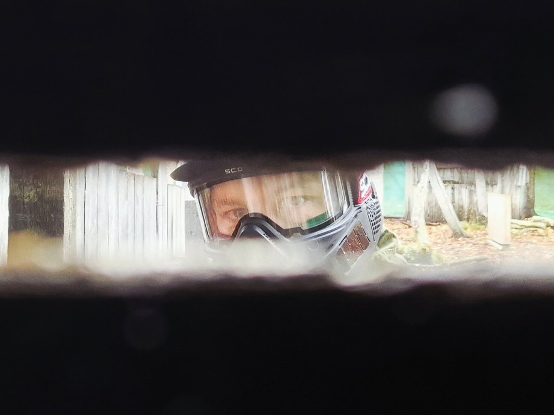 Combat Splat Paintball-斯温顿必去景点