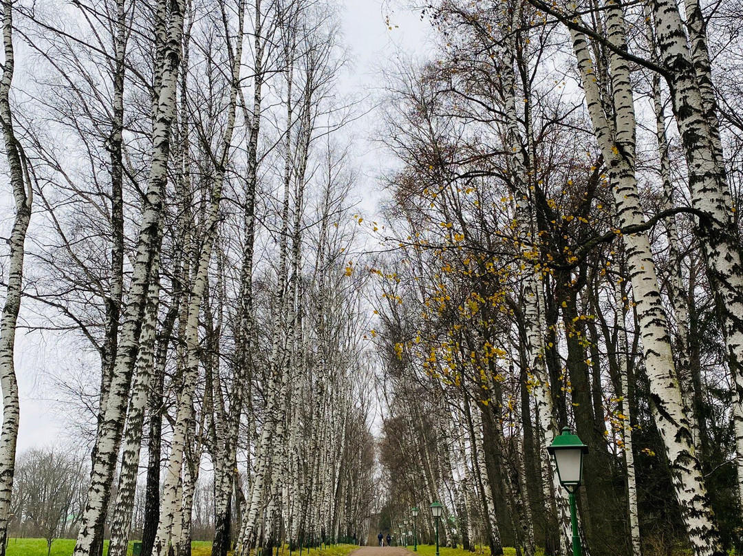 Museum-estate of Leo Tolstoy-Yasnaya Polyana必去景点