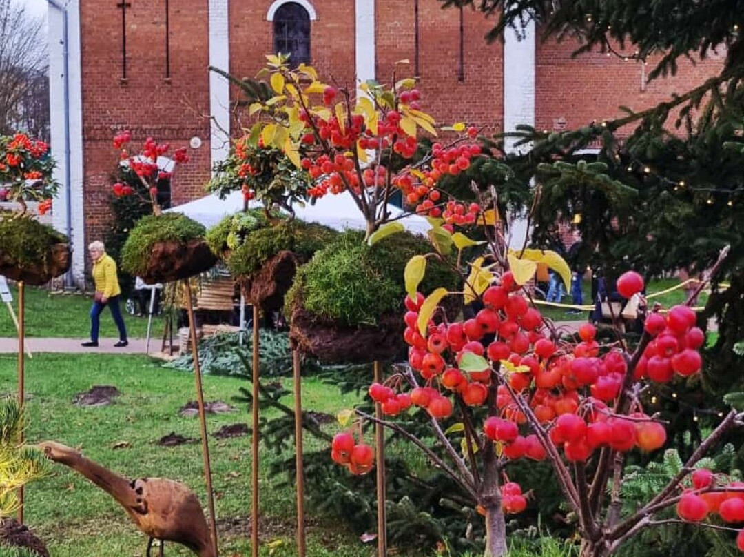 Hotel Gut Pronstorf主图