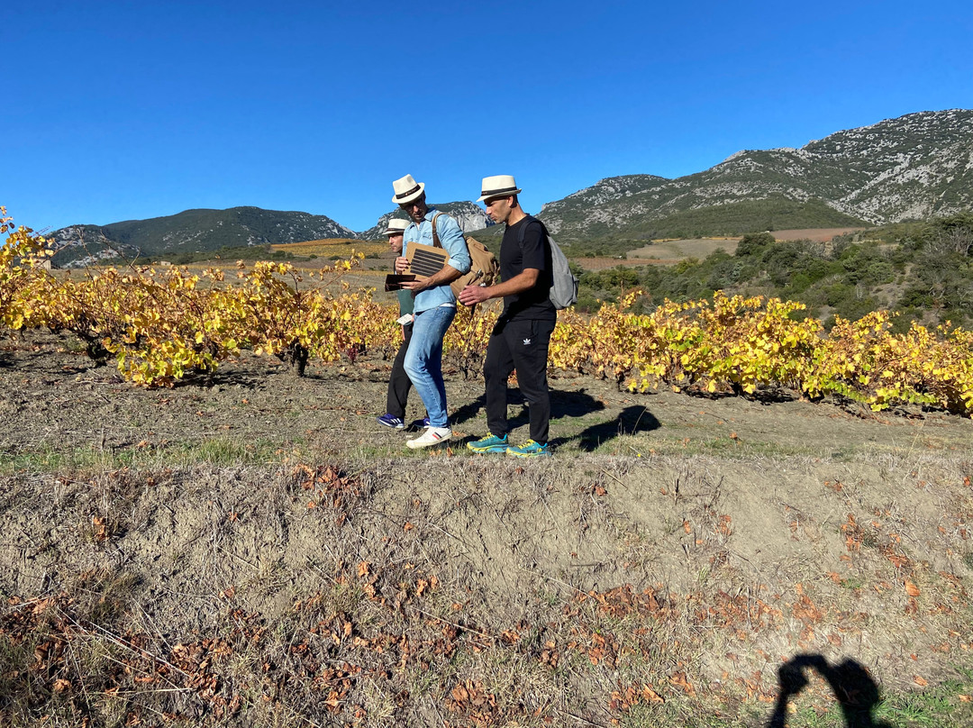 Vino Enigma-Saint-Paul-de-Fenouillet必去景点