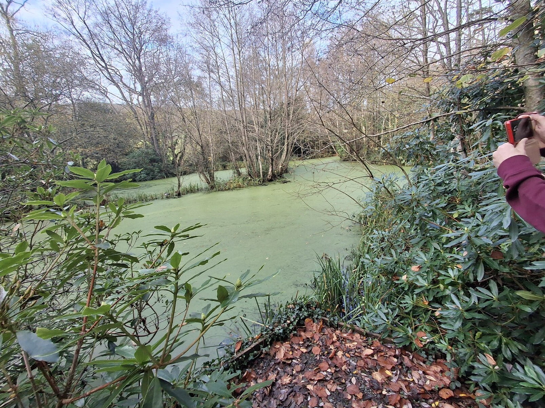 Conwy Water Gardens-Rowen必去景点