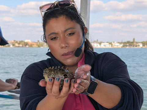 Sarasota Bay Explorers-萨拉索塔必去景点