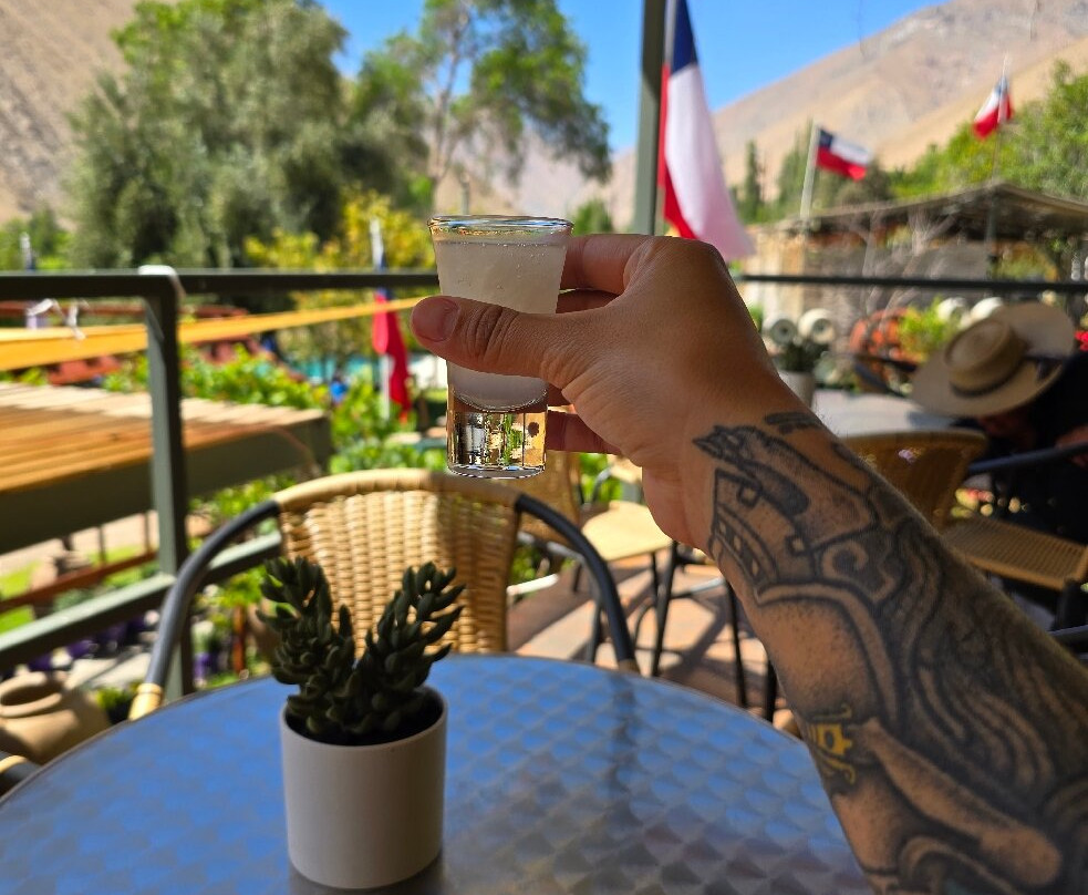 Doña Josefa de Elqui - Pisco Artesanal-Pisco Elqui必去景点