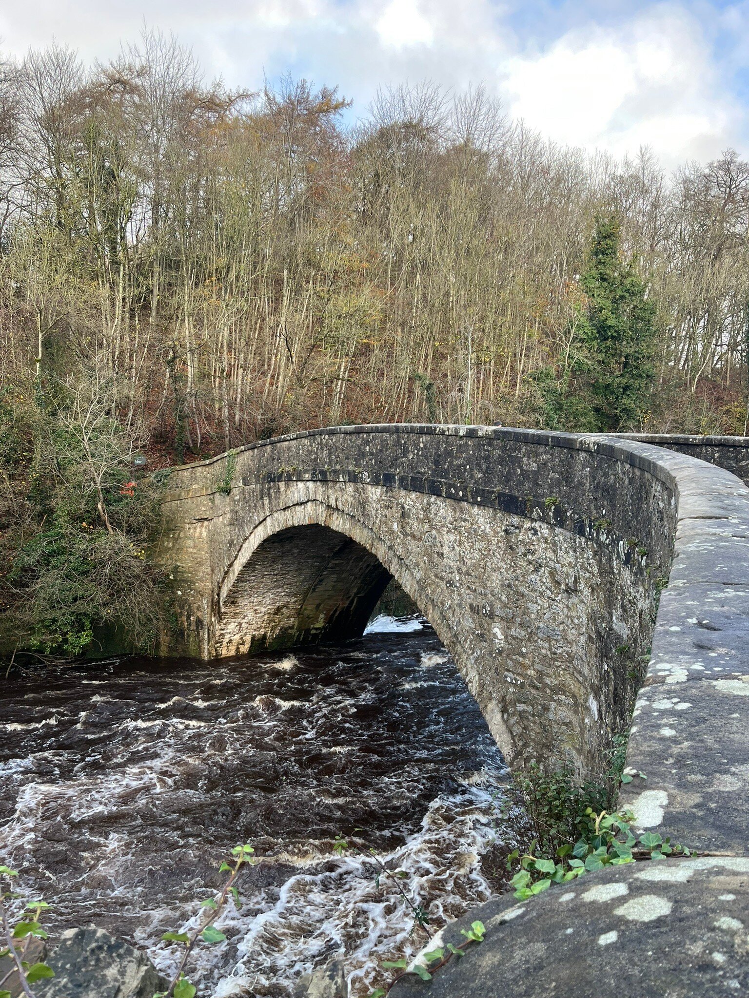 Aysgarth Falls Hotel-官方
