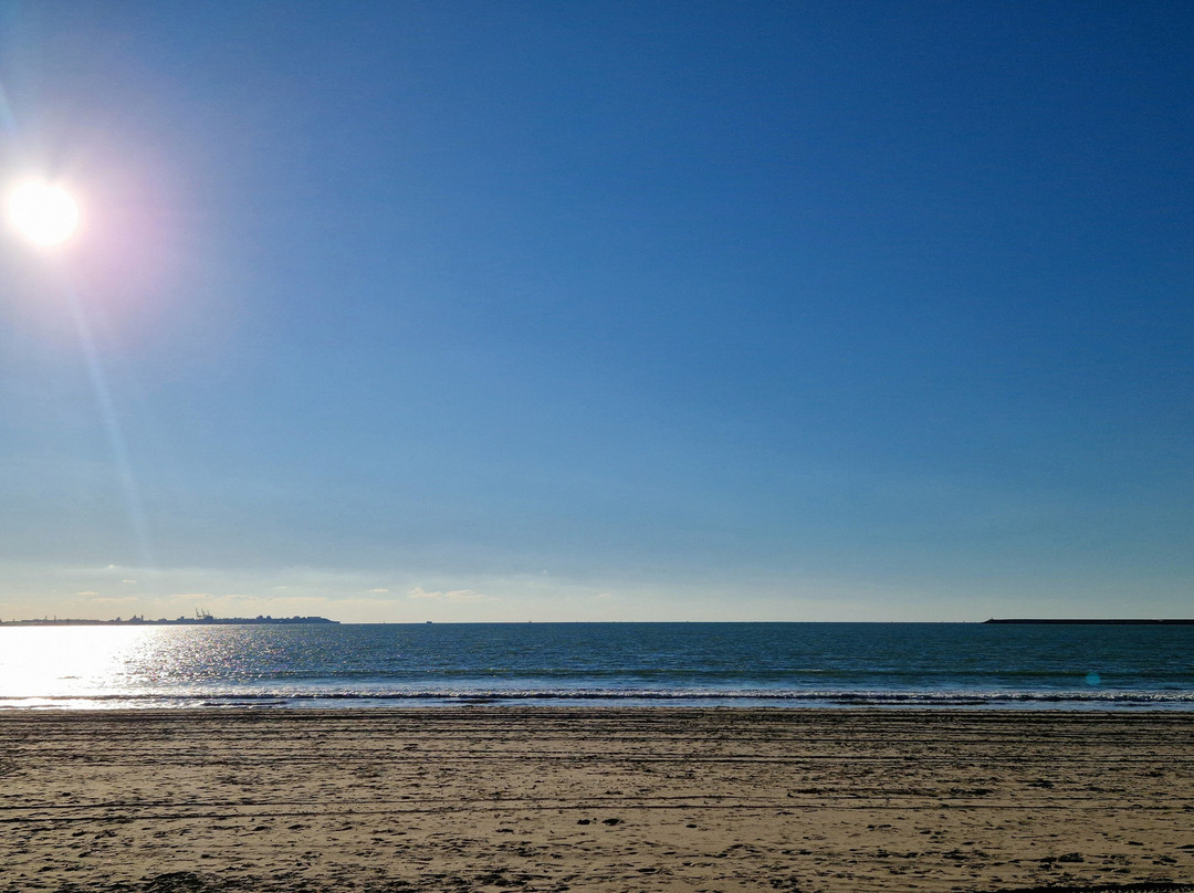 ALEGRIA Bodega Real主图