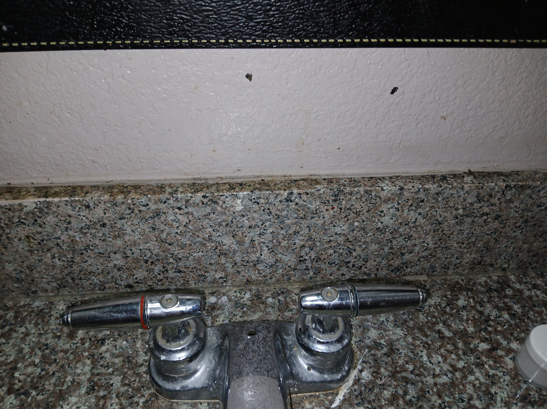 Relax Inn By Oyo Jackson MS Hwy 80/I-20