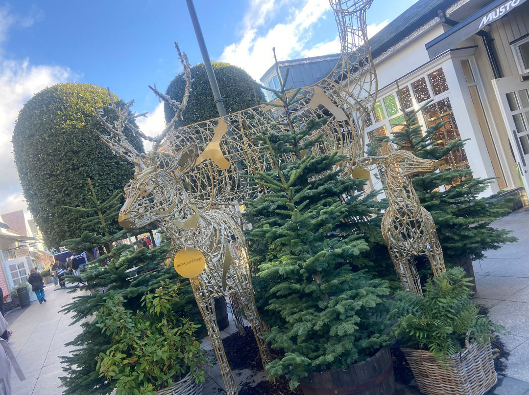 爱德华德勋爵酒店主图