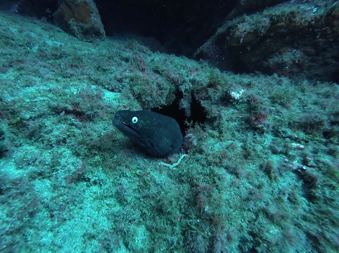 Puerto Rico Diving-波多黎各必去景点