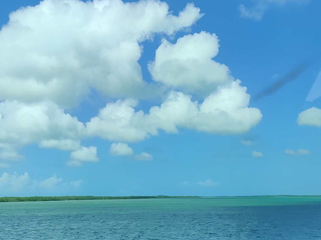 Sugarloaf Pontoon Adventure Tours-Sugarloaf Key必去景点