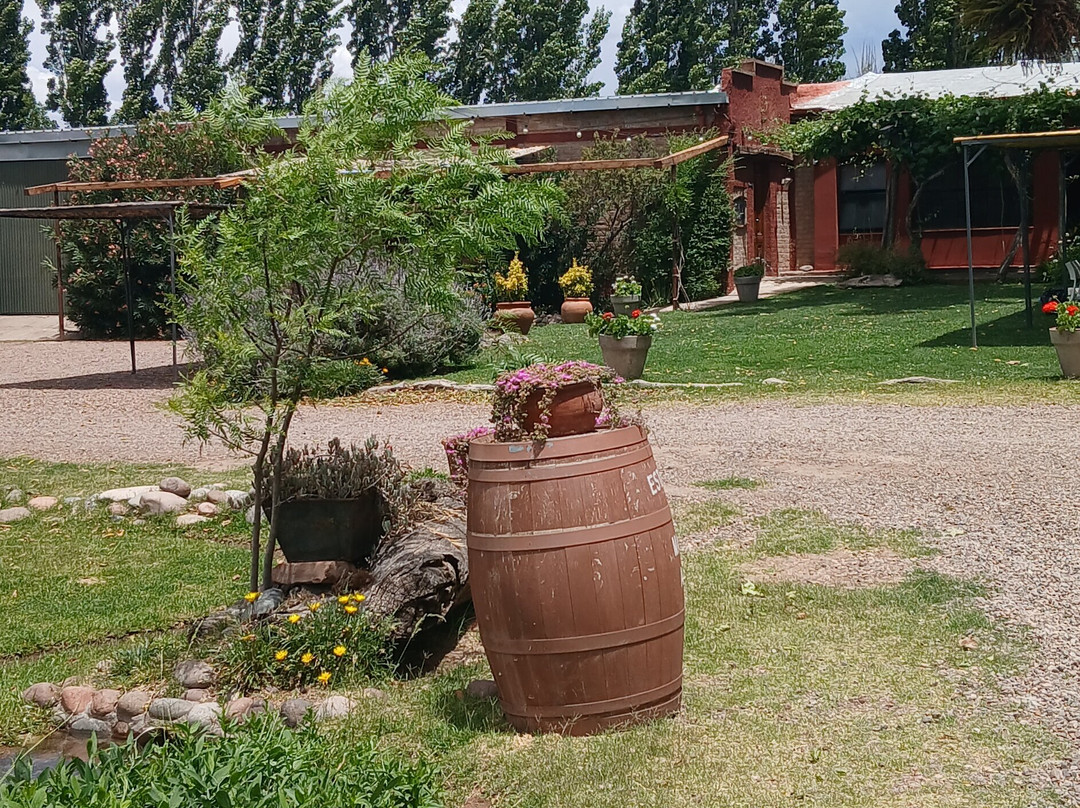 Bodega Hacienda del Plata-路冉得库约必去景点