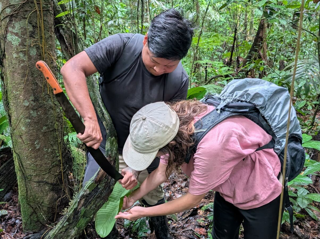 Parque Nacional del Yasuni - Fernando guia en la Amazonia-Coca必去景点