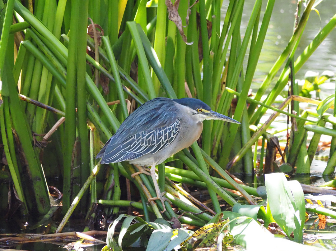Jardín Botánico de Quito-基多必去景点