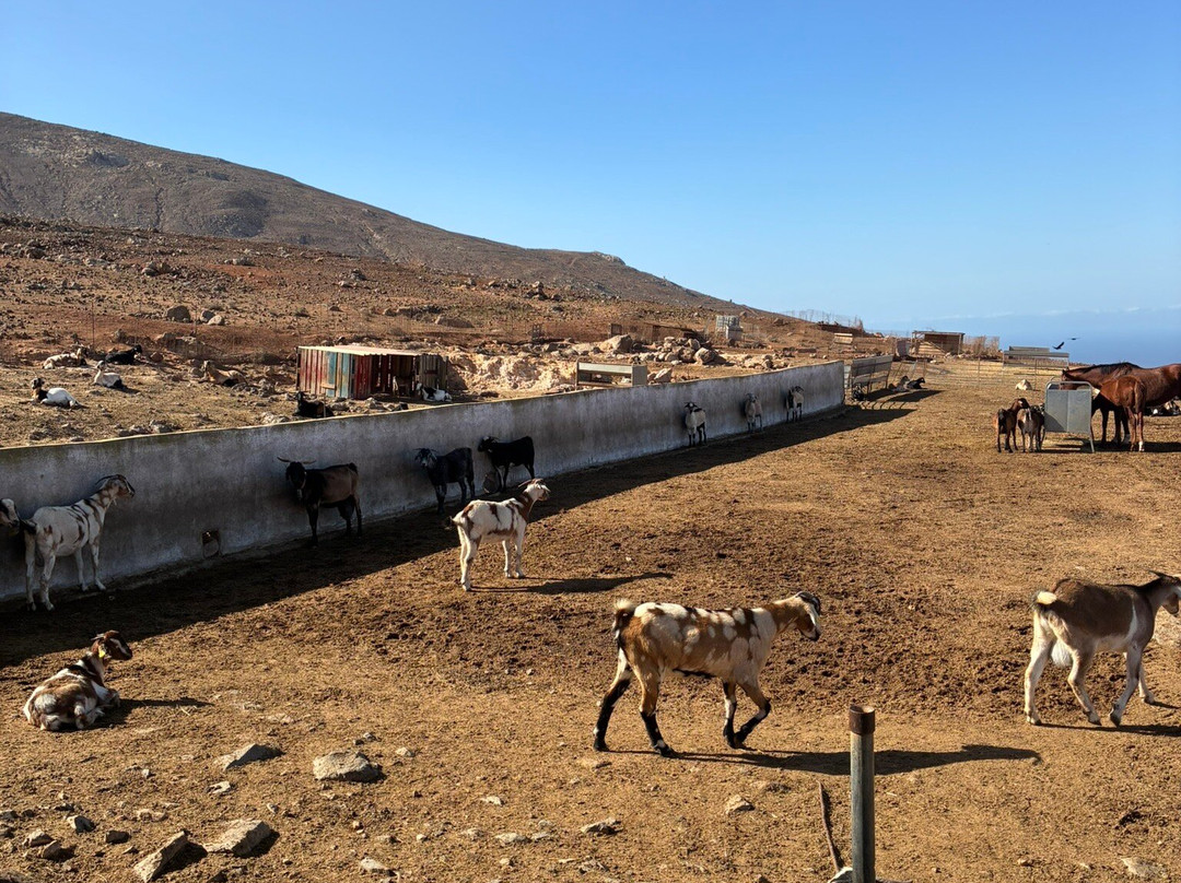 Finca Pepe-Betancuria必去景点