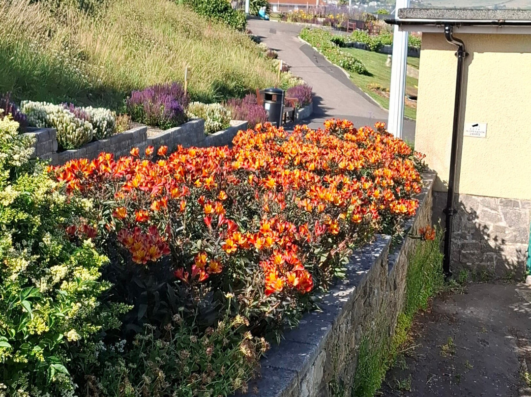 Greenhill Gardens-韦茅斯必去景点