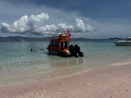 Red Whale Dive Center & Tours-Labuan Bajo必去景点