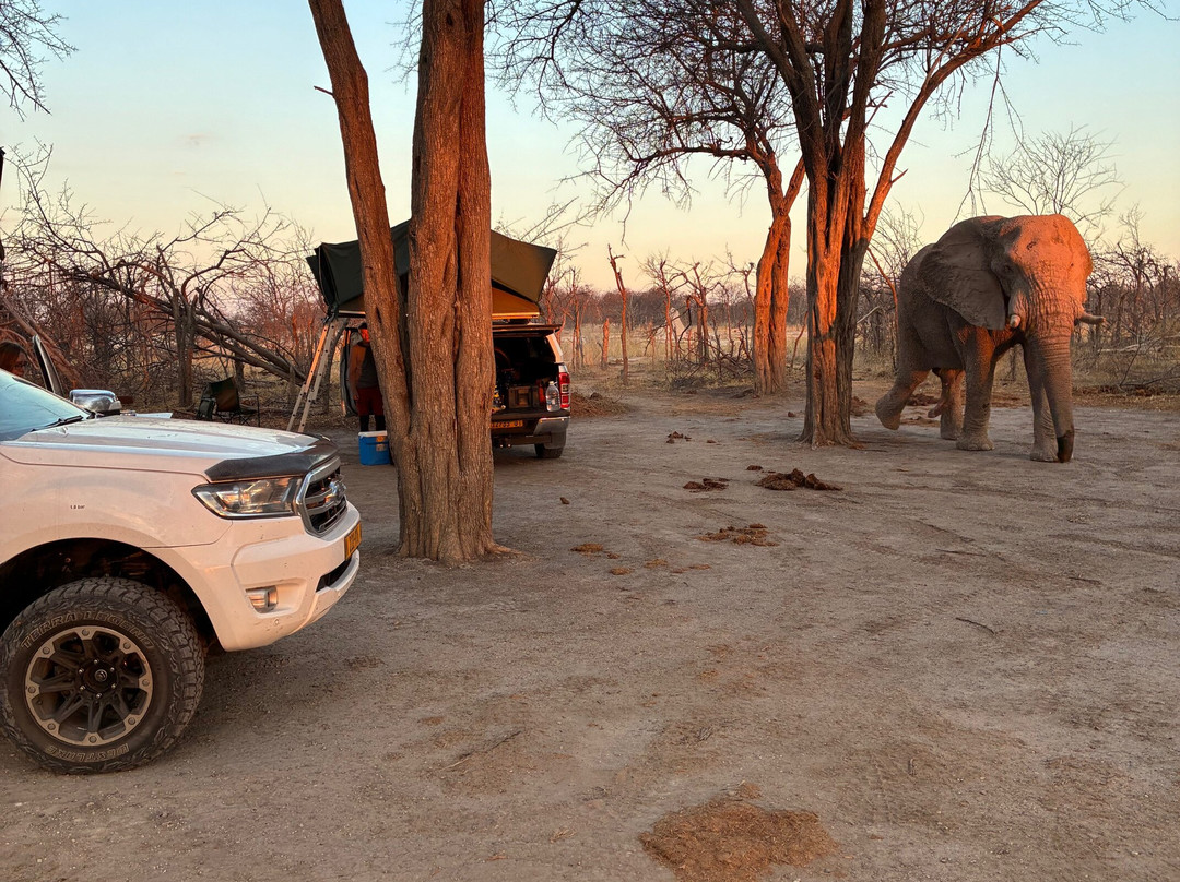 Namvic Tours & Safaris-温德和克必去景点