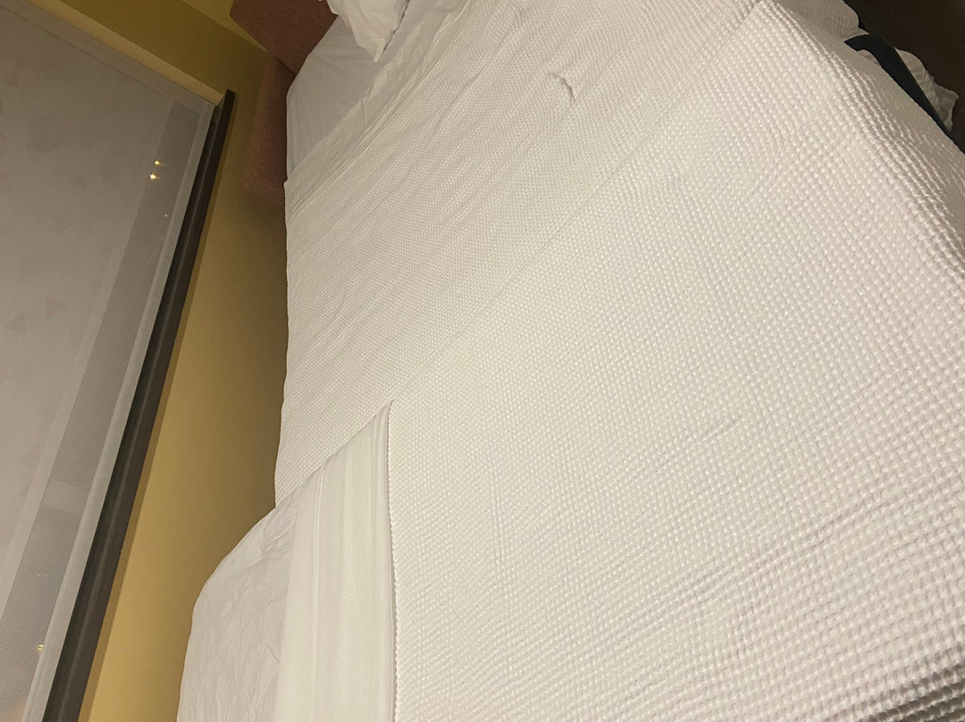 渥太华加蒂诺假日酒店主图