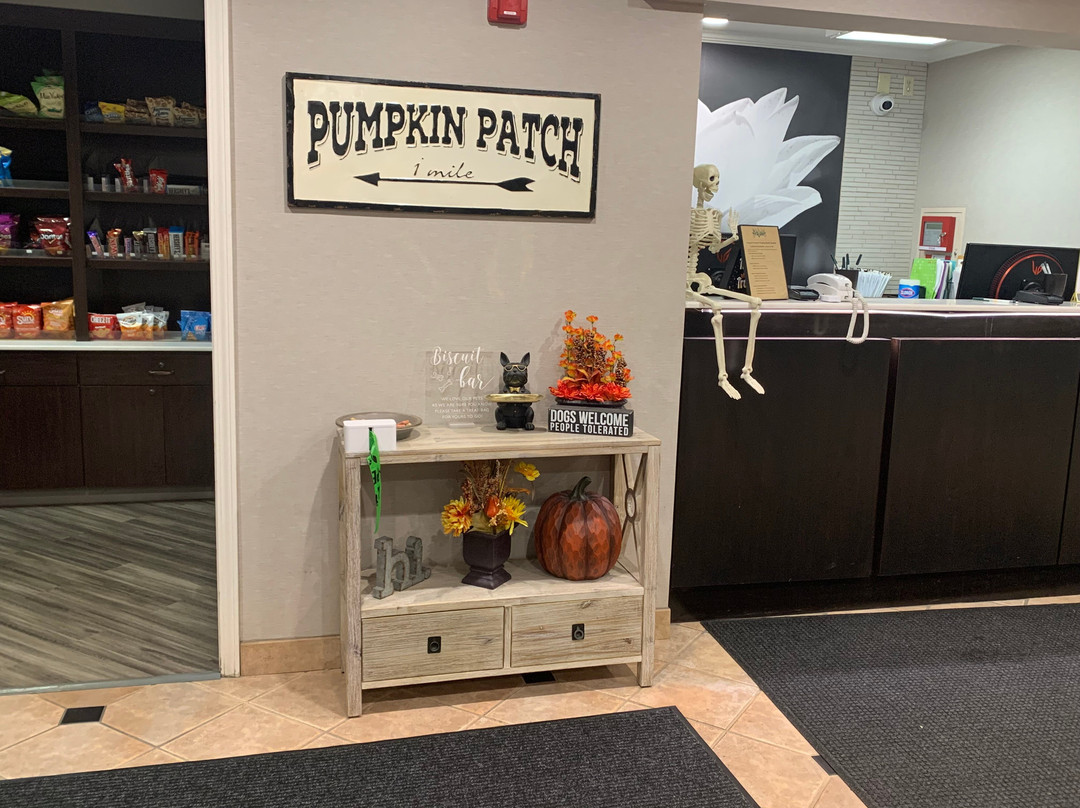 La Quinta Inn & Suites by Wyndham Milwaukee Delafield主图