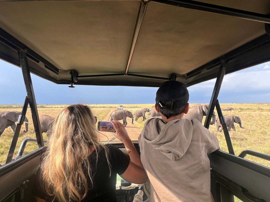 La Toupie Voyageuse-里昂必去景点