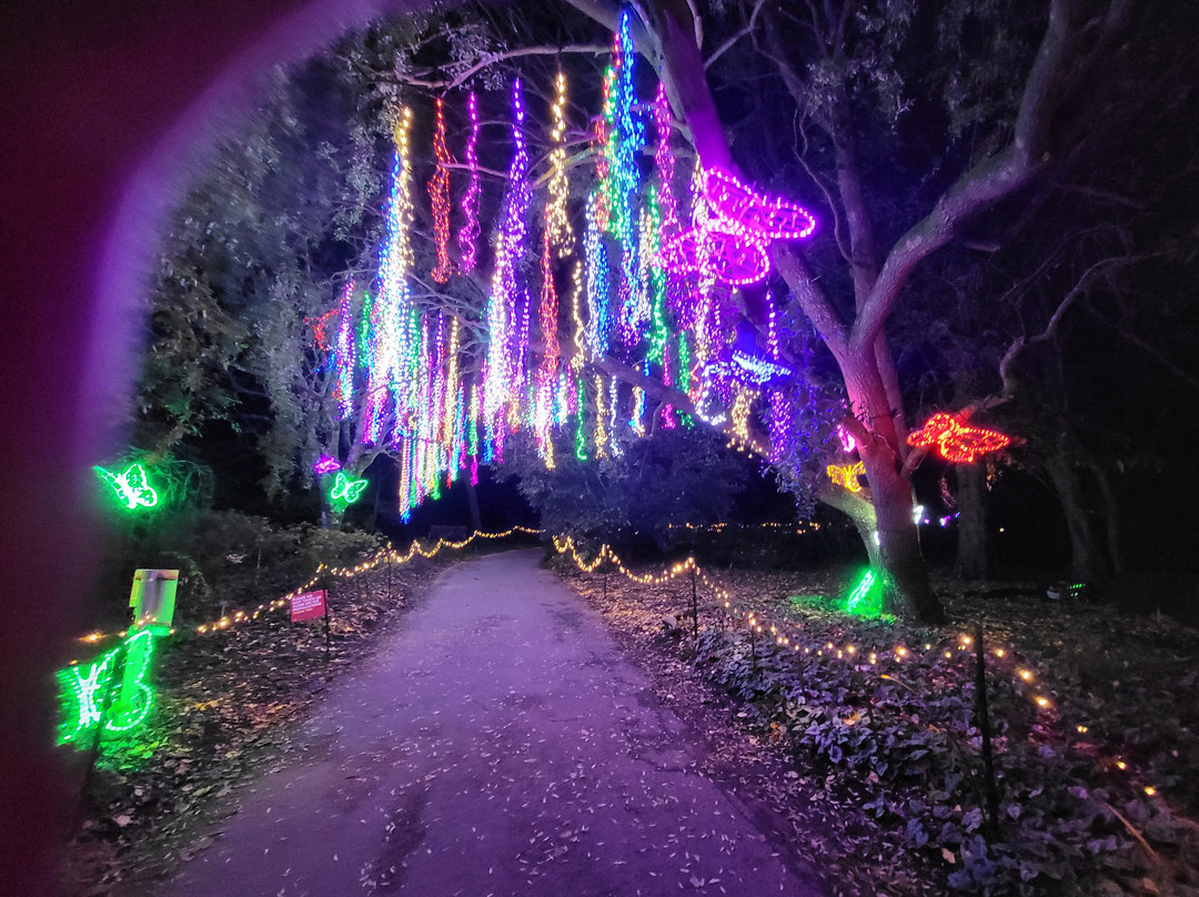 Light Up Trails-罗姆西必去景点