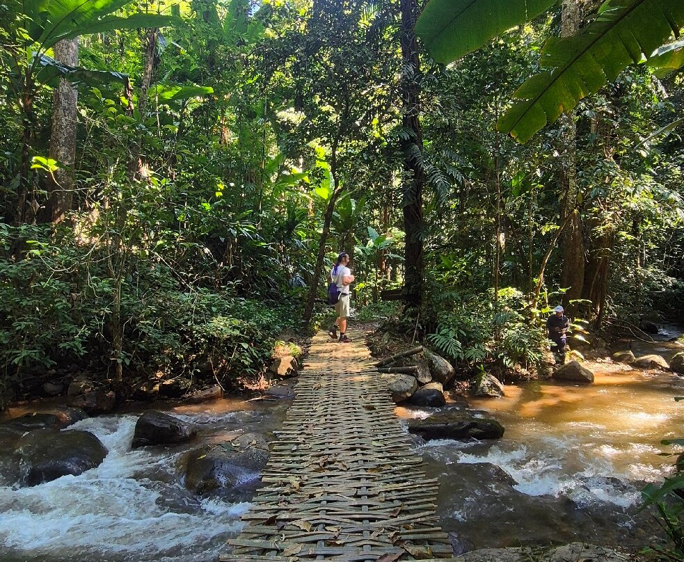 Bamboo Tours-清莱必去景点