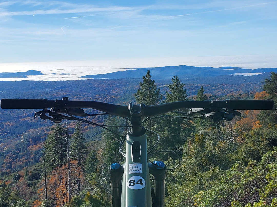 Pedal Forward Bikes & Adventure-Bass Lake必去景点