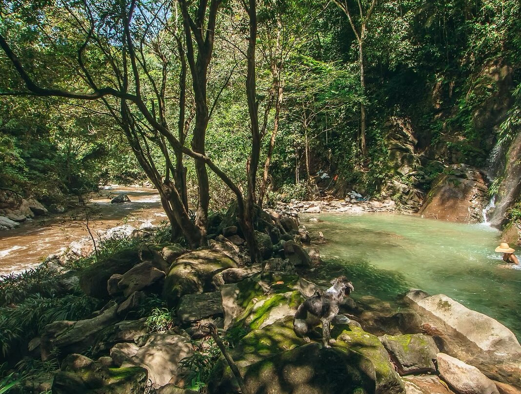 Los Colores Ecoparque主图