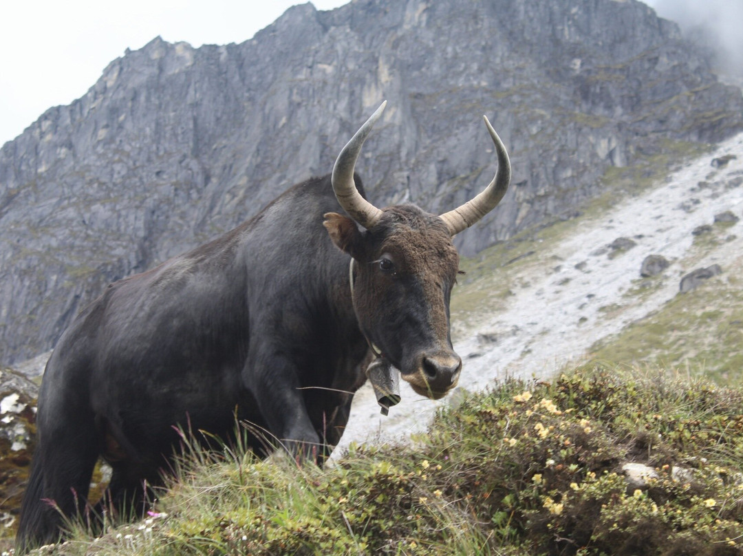 Tsho Rolpa-Charikot必去景点