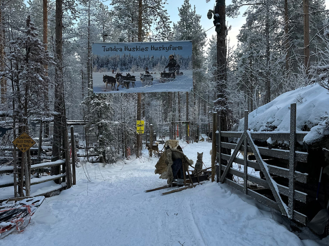 Tundra Huskies Huskyfarm-Levi必去景点