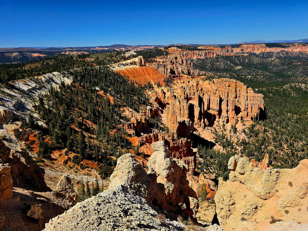 Rainbow Point-布莱斯峡谷国家公园必去景点