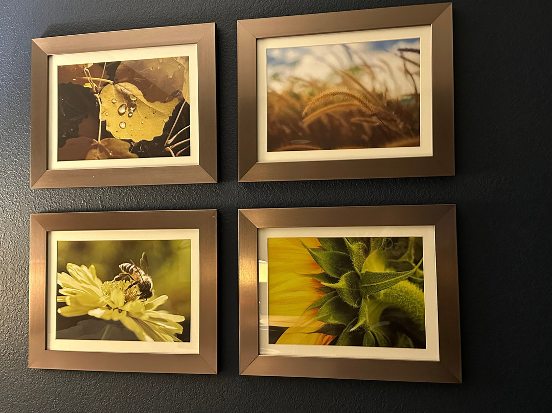 La Quinta Inn & Suites by Wyndham Wichita Northeast主图