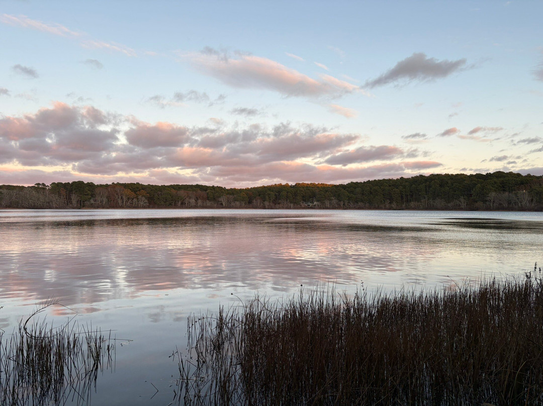 Gull Cottage Bed & Breakfast主图