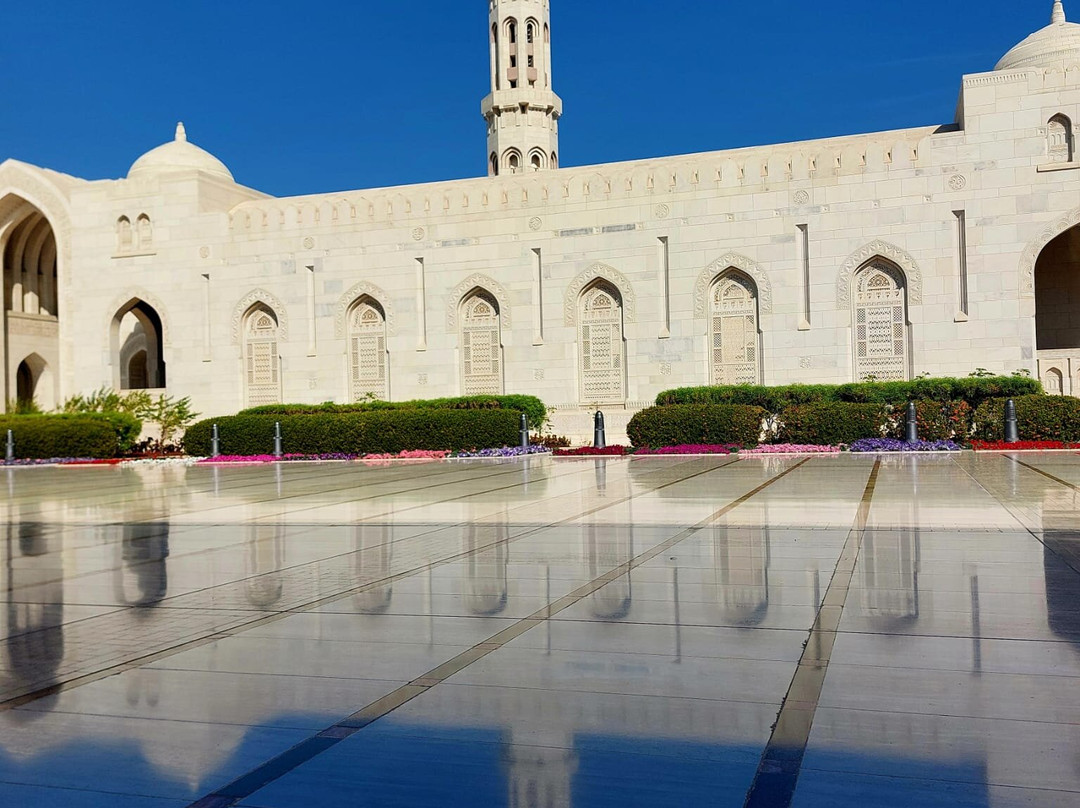 Desert Camels Adventure Tours-尼日瓦必去景点