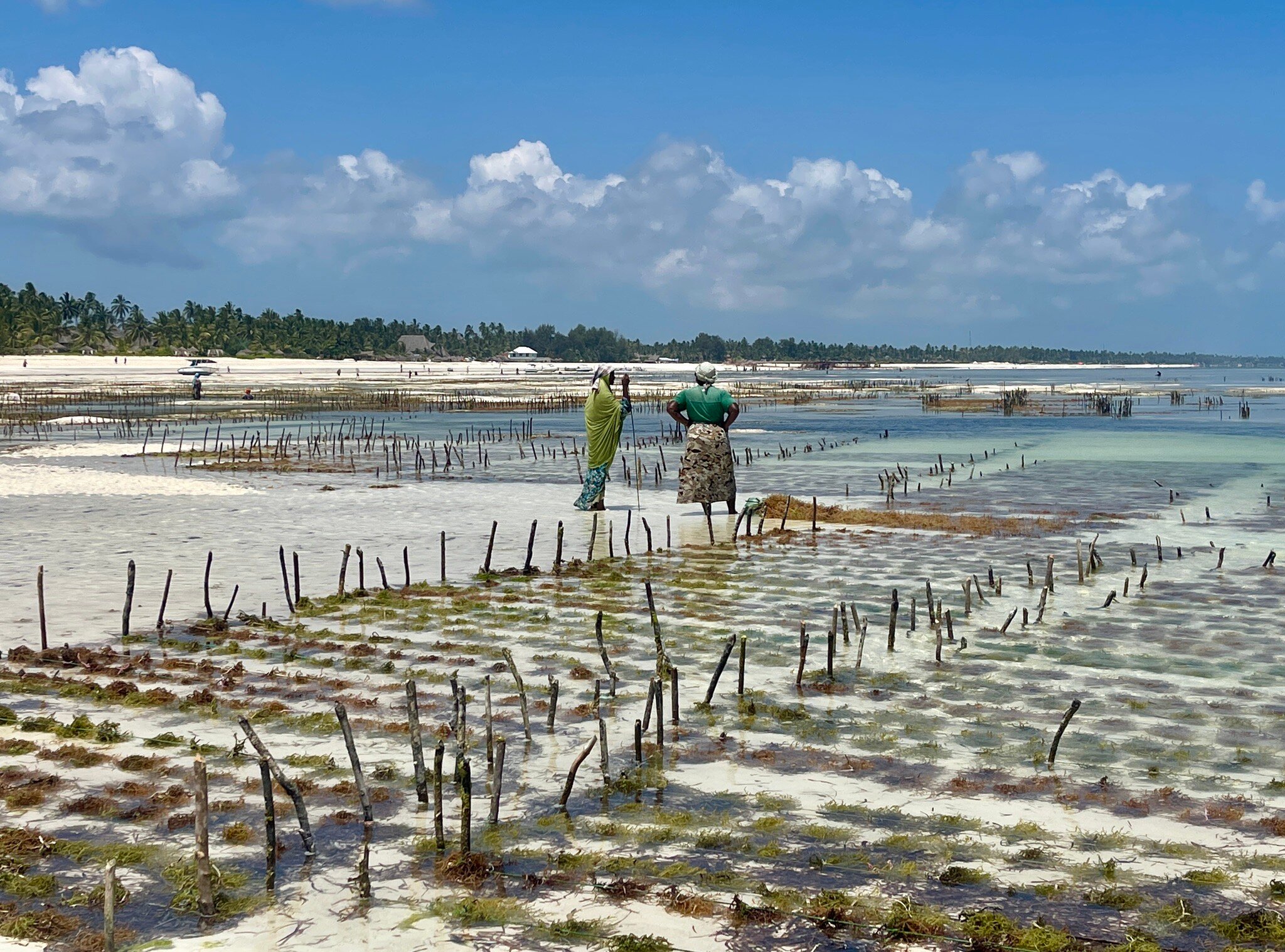 LUX* Marijani Zanzibar-官方