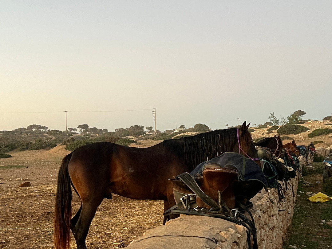 Cheval Essaouira-索维拉必去景点