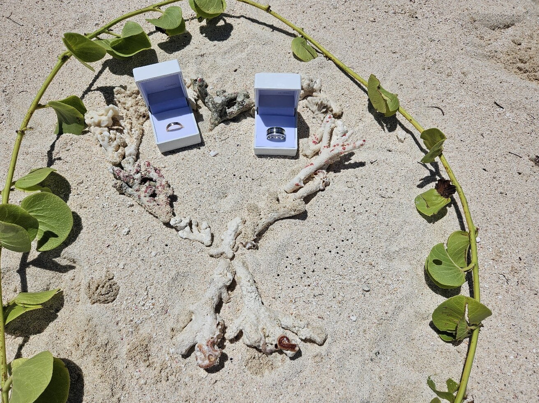 KIDAN TOUR OPERATOR-卓欧毕雪必去景点