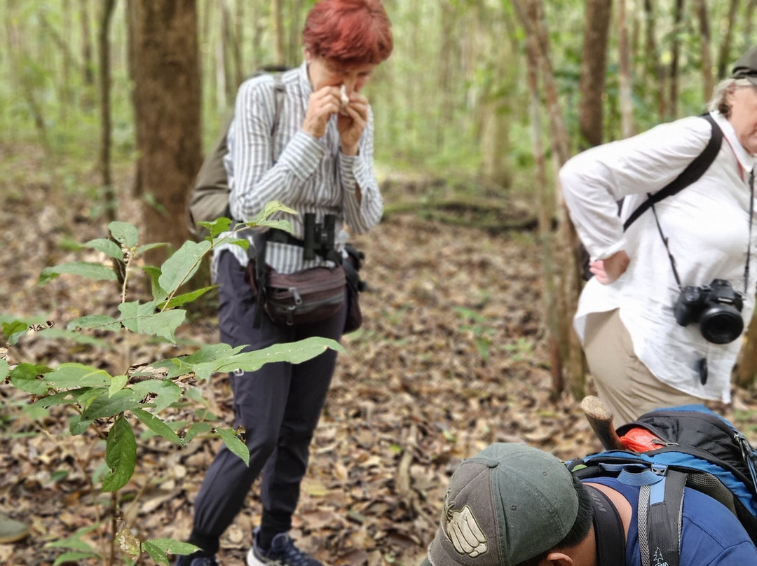 Ujung Kulon Tourism-Carita必去景点