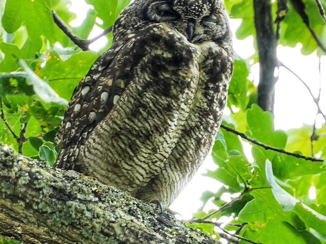 Eikehof-法兰舒克必去景点