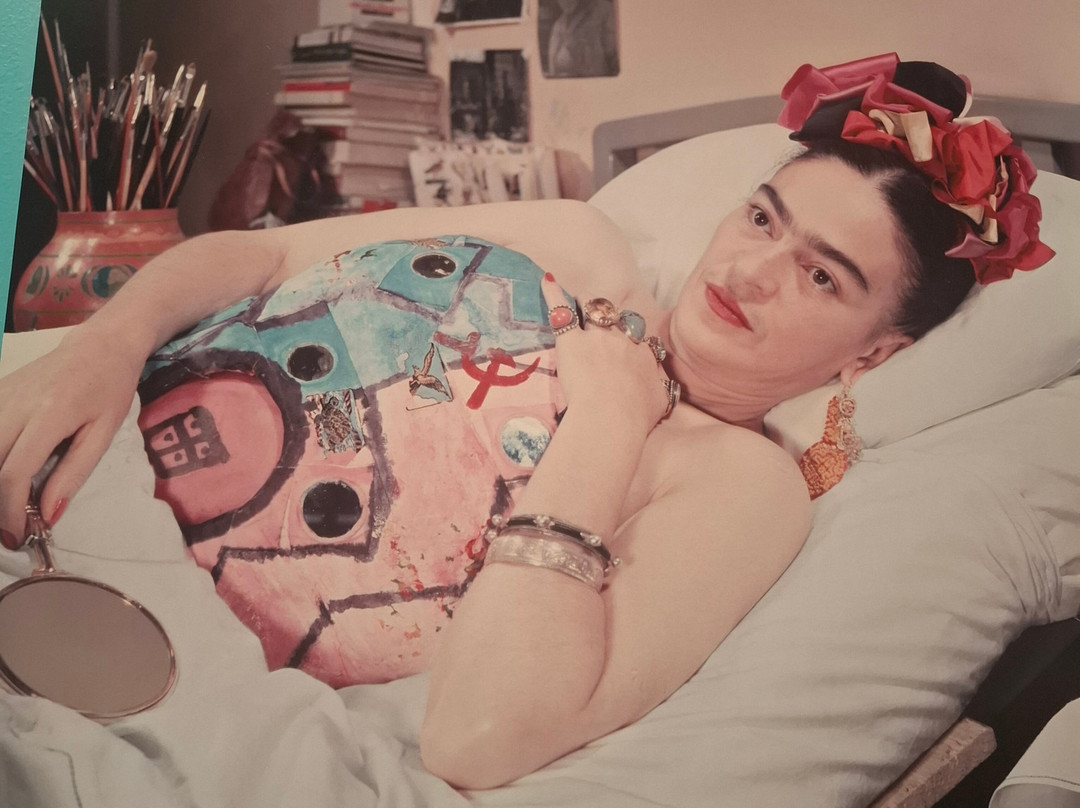 Museo Frida Kahlo-普拉亚德尔卡曼必去景点