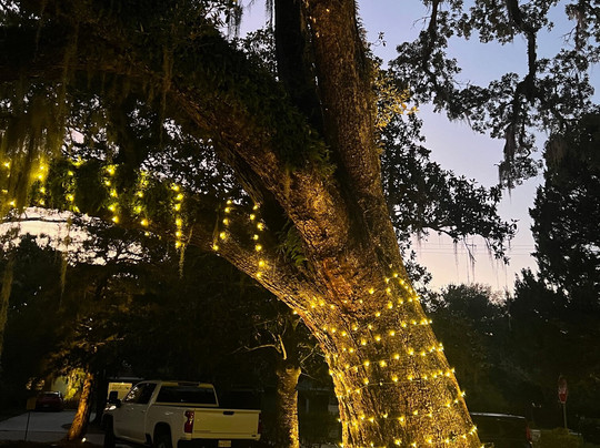 The Roost Ocean Springs主图