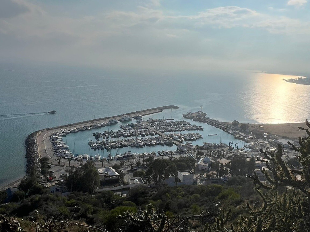 Depart Travel Services-杰尔巴岛必去景点