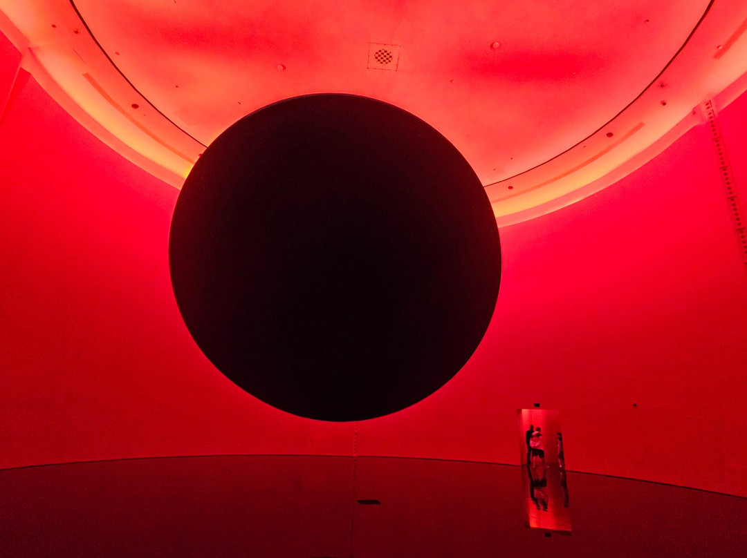 teamLab Phenomena Abu Dhabi-阿布扎比必去景点